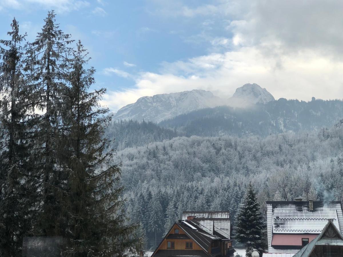 100 M2 Apartment - Nabucco With 270 Degree Mountain View, 65 Oled Tv, Netflix, Ps5 Console Zakopane Exteriér fotografie