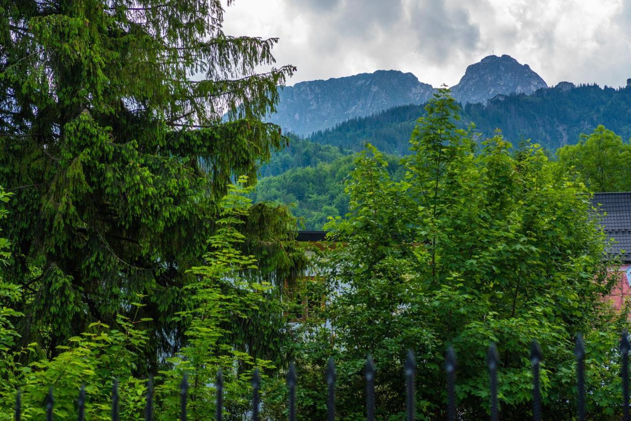 100 M2 Apartment - Nabucco With 270 Degree Mountain View, 65 Oled Tv, Netflix, Ps5 Console Zakopane Exteriér fotografie